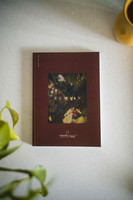 The Vineyard Guide